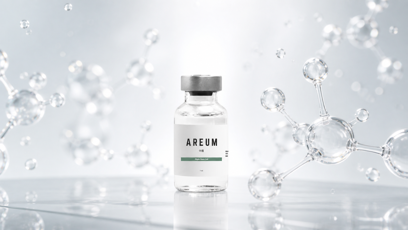 PHYTO STEM CELL